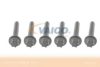 MERCE 004990351205 Screws Assortment